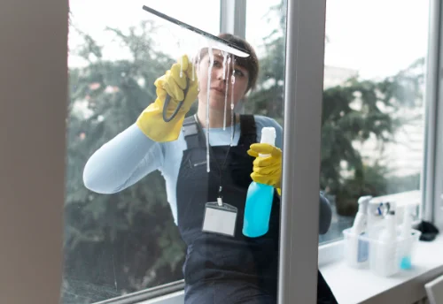 Nettoyage de vitres intérieures et extérieures à Chizé
